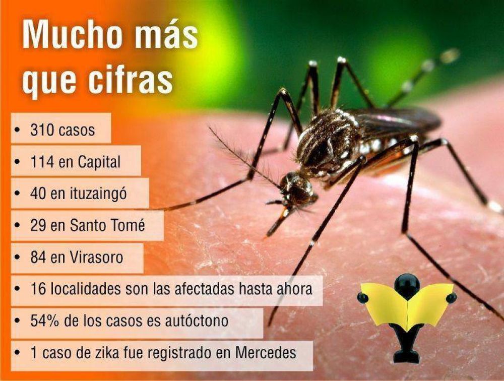 Corrientes totaliza 310 casos de dengue y el 54% es aut�ctono