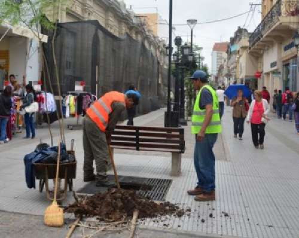 Reverdece tu Ciudad: se reforestaron las peatonales salteas con nuevos rboles