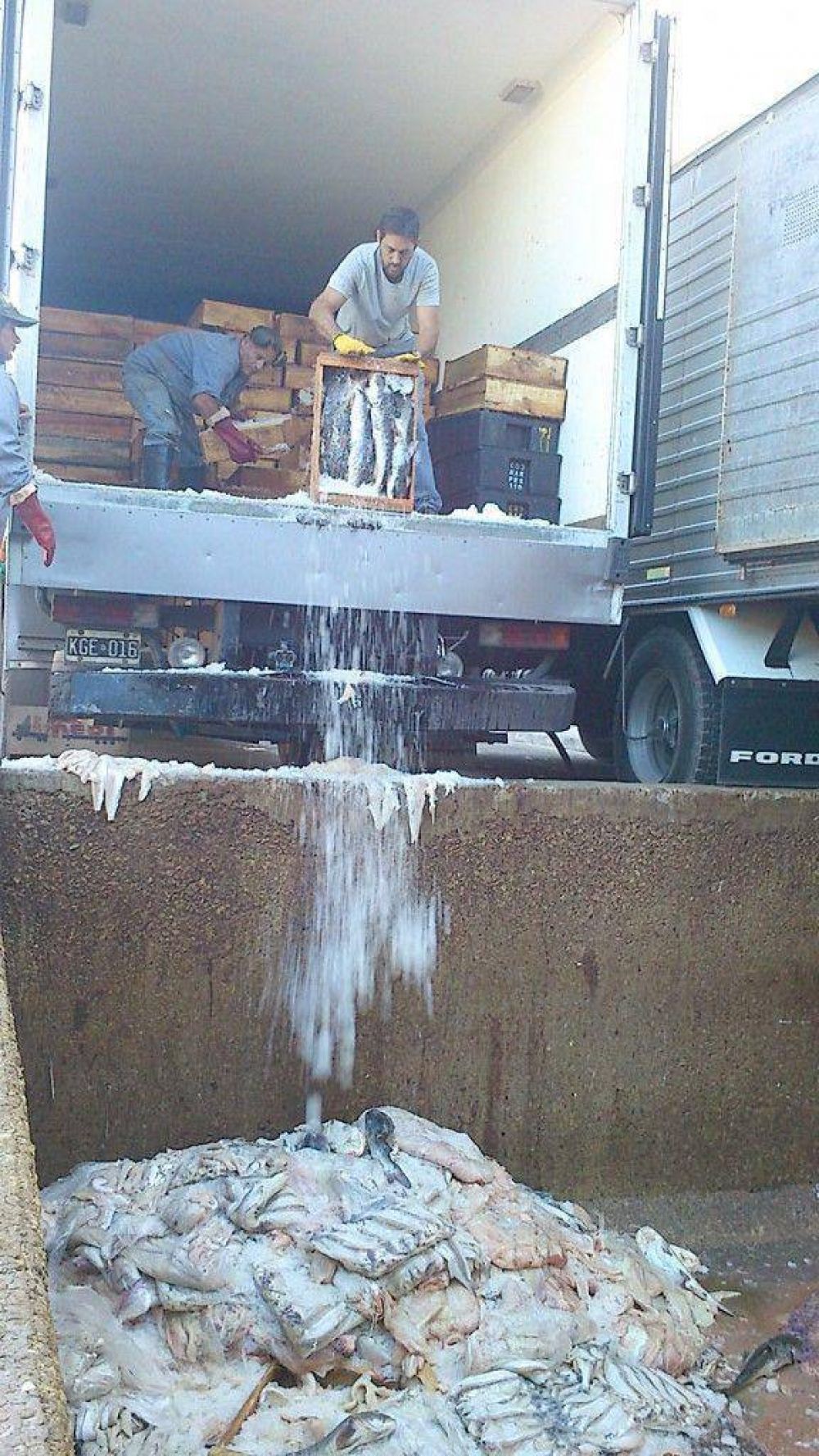 Decomisaron m�s de 7 mil kilos de pescado en Mar del Plata
