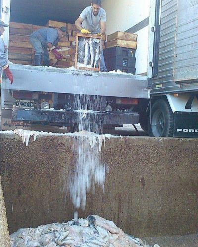 Decomisaron m�s de 7 mil kilos de pescado en Mar del Plata