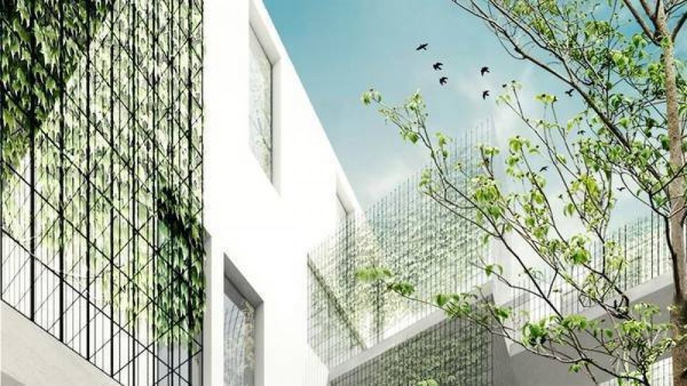 Plan de viviendas para la Villa 20