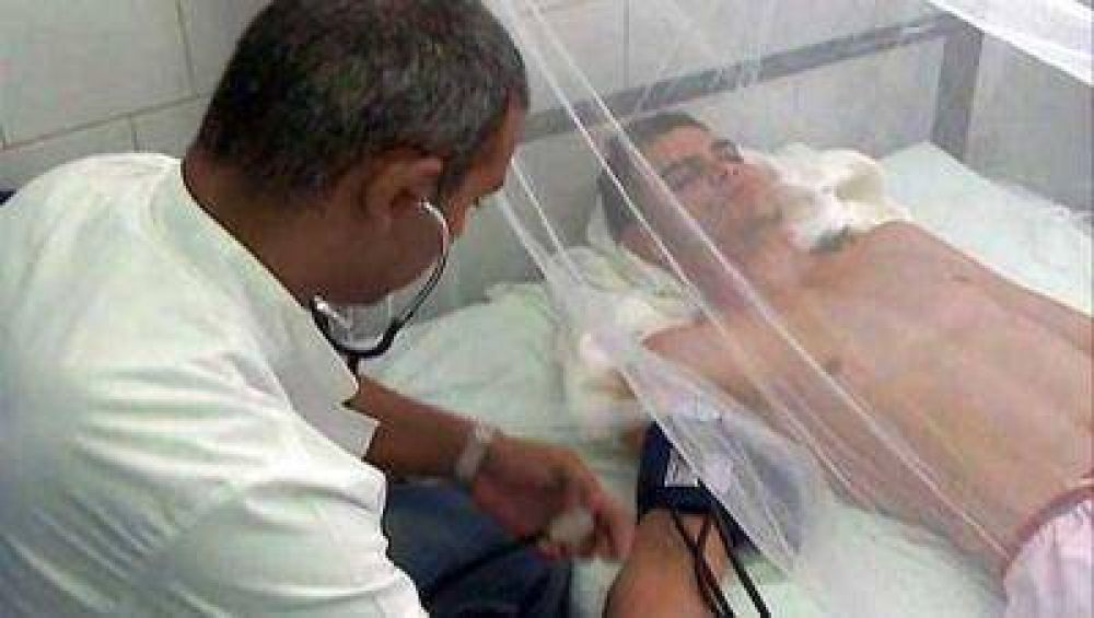 Hay 216 casos confirmados de dengue y 245 en estudio en la Ciudad de Buenos Aires