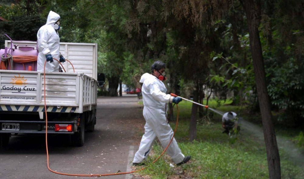 Un a�o r�cord de casos de dengue
