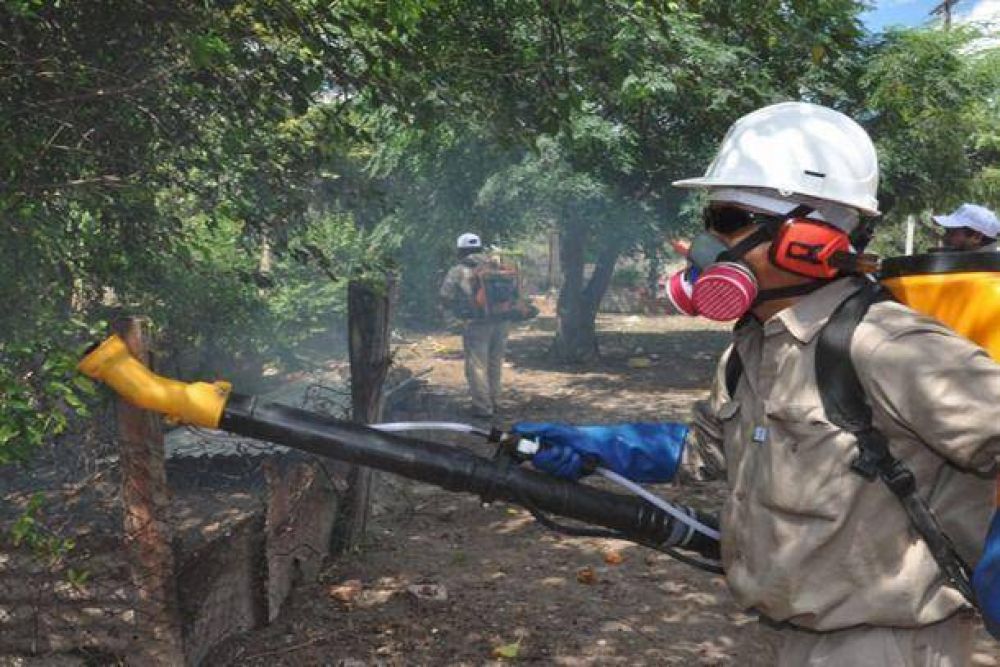 Dengue: Misiones cuenta con m�s del 42 % de los casos que existen en el pa�s