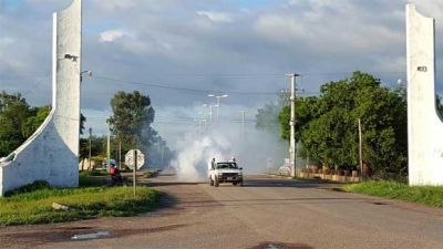 Dengue: realizan tareas de fumigaci�n en toda la provincia