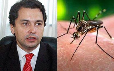 Eval�an 42 posibles casos de dengue en Almirante Brown