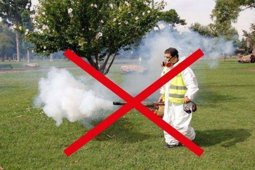 Desaconsejan fumigaciones masivas en parques y plazas