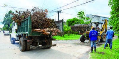 Microbasurales: desde la comuna se est� haciendo frente a este incipiente problema