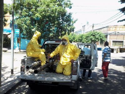Hasta el momento se notificaron 33 casos de Dengue en San Mart�n