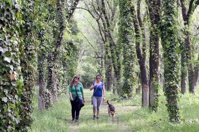 Solicitan la limpieza del Monte de Los Fresnos