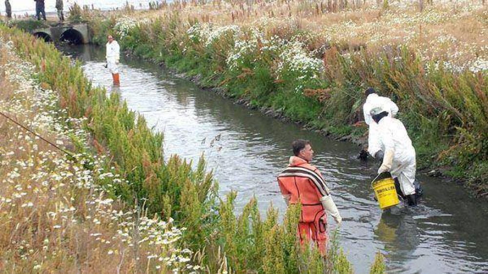 Recolectaron 30 metros c�bicos de basura en la primera etapa de remediaci�n de la Bah�a Encerrada