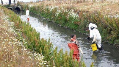 Recolectaron 30 metros c�bicos de basura en la primera etapa de remediaci�n de la Bah�a Encerrada