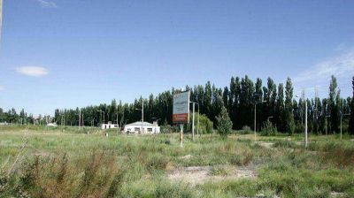 Centenario arranca a cobrar impuestos en chacras loteadas