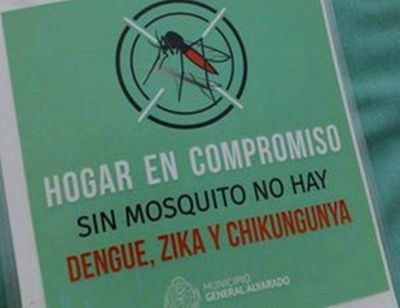Gral.Alvarado: Fuerte campa�a contra el dengue