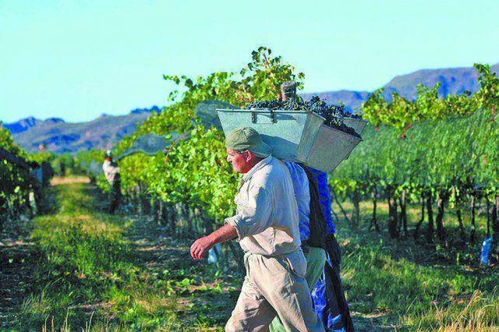 Productores de Estados Unidos estuvieron visitando bodegas de Mendoza