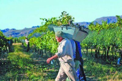 Productores de Estados Unidos estuvieron visitando bodegas de Mendoza