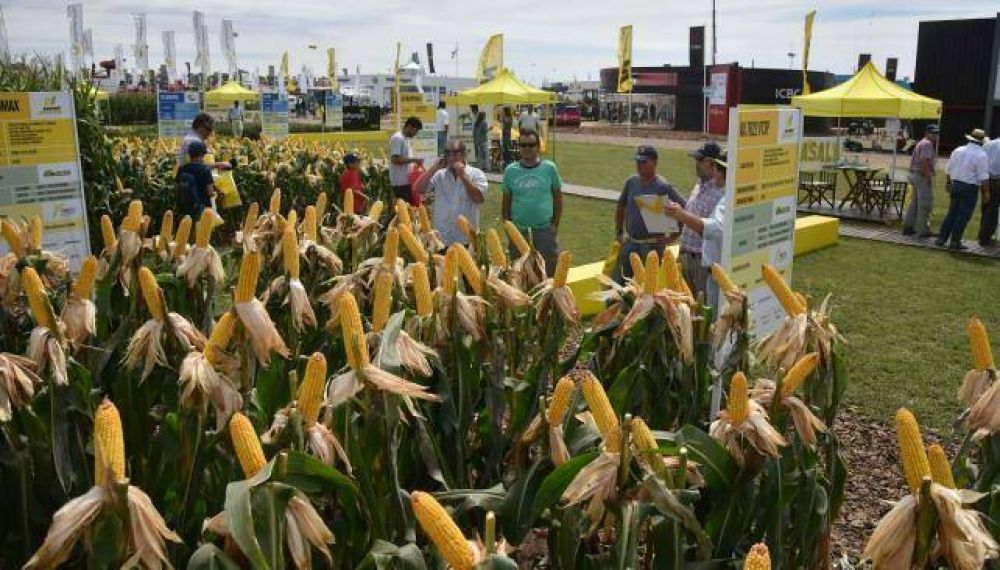 La cosecha de C�rdoba cae 10 por ciento