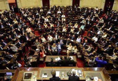 Las modificaciones que permitieron aprobar el dictamen en Diputados