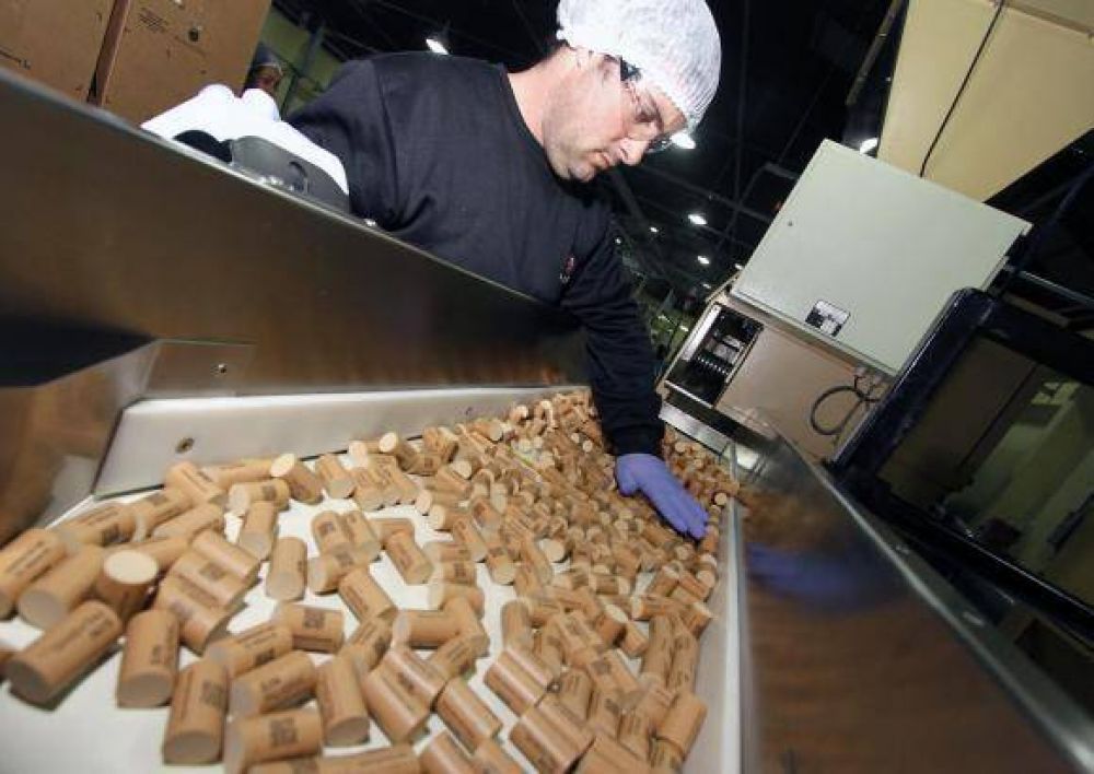 Industriales piden quita de impuestos de boleta de luz