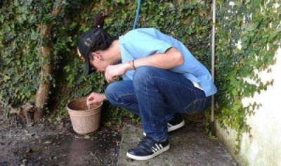 �No le demos lugar al dengue en nuestras casas�