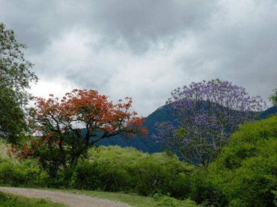 Impulsan la remediacion ambiental en Calilegua