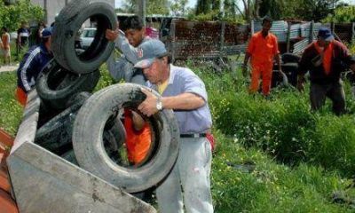 Dengue: Los casos sospechosos superan los 7.500 en Misiones