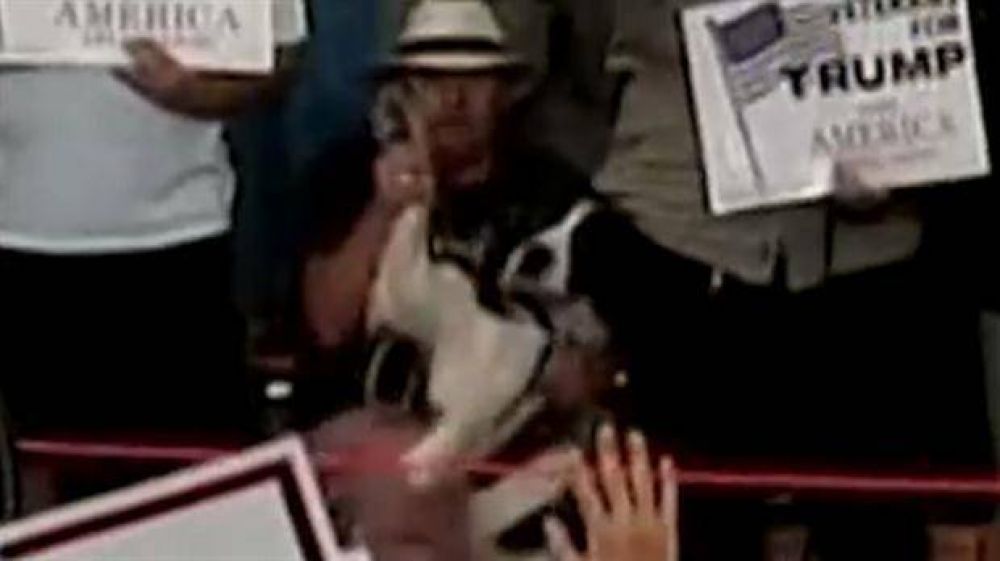 Un perro jur� lealtad por Donald Trump