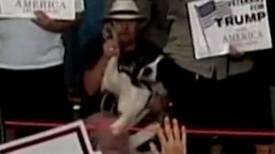 Un perro jur� lealtad por Donald Trump