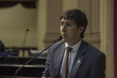  Diputados deciden entre Ferraris o Diez Villa