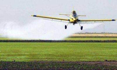 Piden prohibir agroqu�micos en la Ciudad