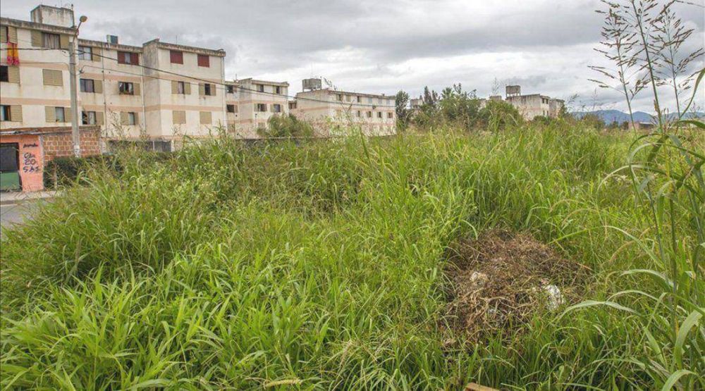 Frentistas que no limpien su vereda recibir�n multas de hasta $15 mil