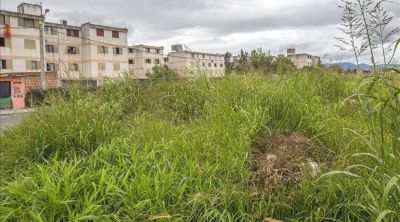 Frentistas que no limpien su vereda recibir�n multas de hasta $15 mil