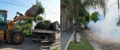 Tareas de limpieza, fumigaci�n, mejoras luminarias y desmalezamiento en el Barrio Am�rica del Sur y Villa Hortensia