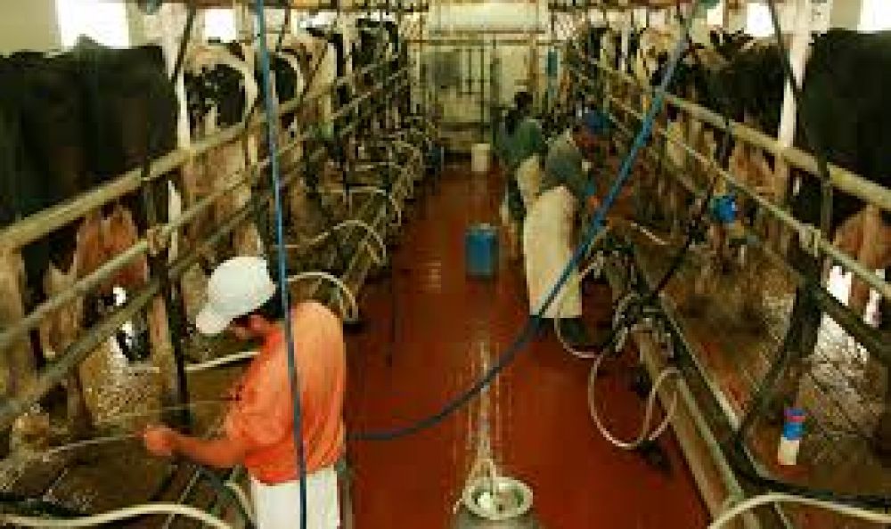 Diputados retoma un proyecto que prevé la creación de un registro de integrantes de la cadena láctea 