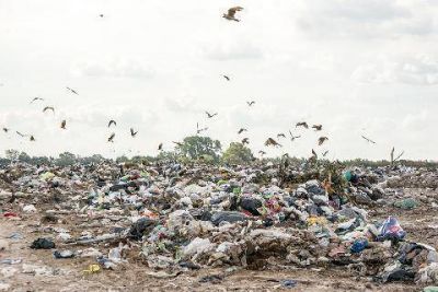 Basural Municipal: dos caras de una misma problem�tica