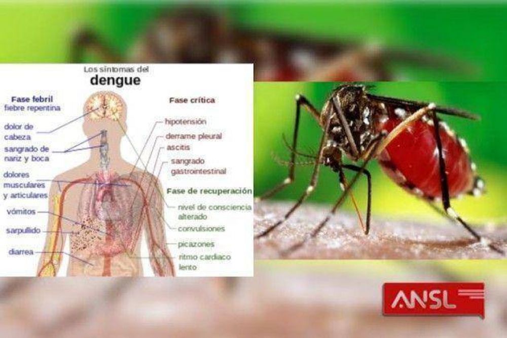 Se confirm� el d�cimo caso importado de dengue en San Luis