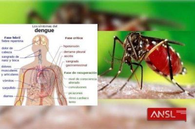 Se confirm� el d�cimo caso importado de dengue en San Luis
