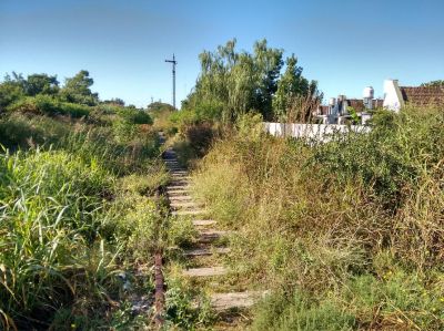 Vecinos se inquietan por el estado de abandono de distintas �reas de la vieja traza ferroviaria