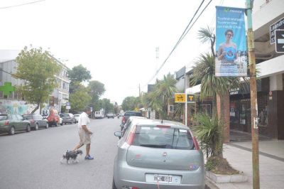 El Ejecutivo aval� publicidad ilegal a espaldas del Concejo
