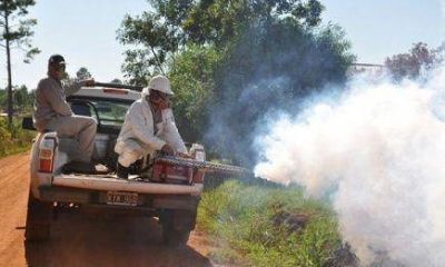 Hay casi ocho mil casos sospechosos de dengue en Misiones