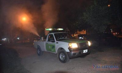 Dengue: confirman 423 casos y declaran la emergencia sanitaria por 180 d�as