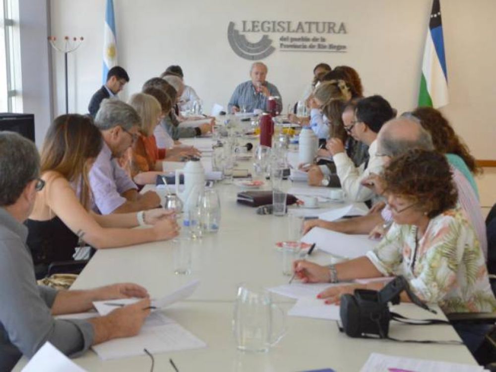 Creaci�n de una comisi�n mixta del Parque Central tuvo dictamen favorable en Planificaci�n