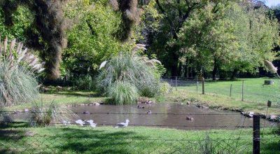 El D�a Mundial del Agua se celebrar� en 