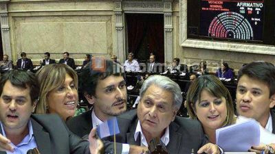 Fondos buitre: qu� dijeron los diputados entrerrianos