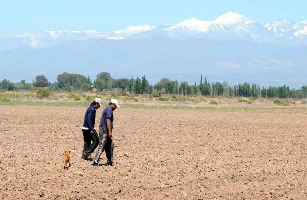 Agricultores: el 30% ya recurre a otros ingresos