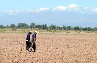 Agricultores: el 30% ya recurre a otros ingresos