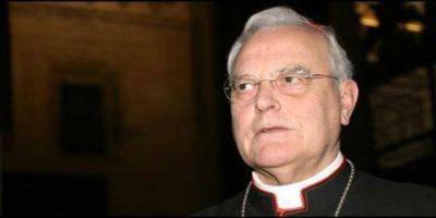 Cardenal Amigo: 