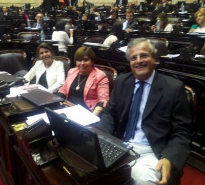 DIPUTADAS POR JUJUY PRIVILEGIARON EL INTER�S DE LA PROVINCIA EN EL DEBATE POR LA SALIDA DEL DEFAULT