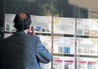 Reconocen que son altos los precios de los alquileres