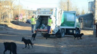 Quieren mejorar la recolecci�n de residuos en Plottier